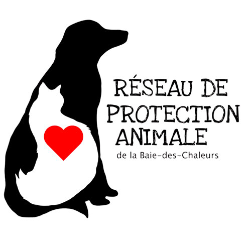 RPABDC Groupe d'Entraide Le GESTE (G.E.S.T.) / Épicerie de Quartier Le GESTE