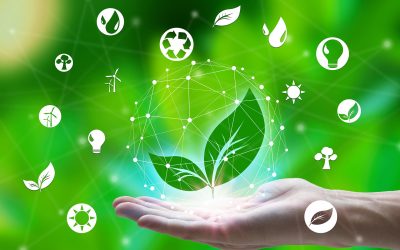 Protégé : Entre promesses et impacts : l’économie sociale face au défi numérique