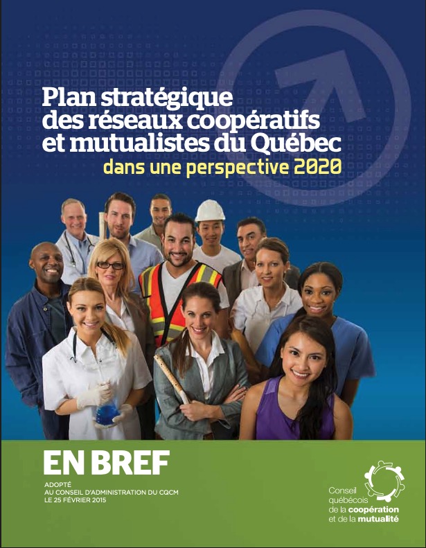 Plan stratégique des réseaux coopératifs et mutualistes 2020 - Hero