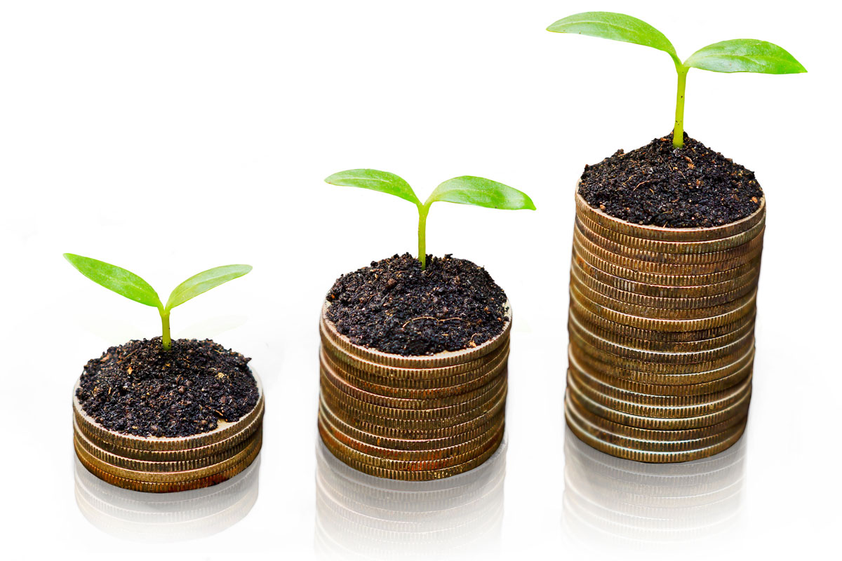 Sous empiler et feuilles qui poussent. Fonds et subventions disponibles.